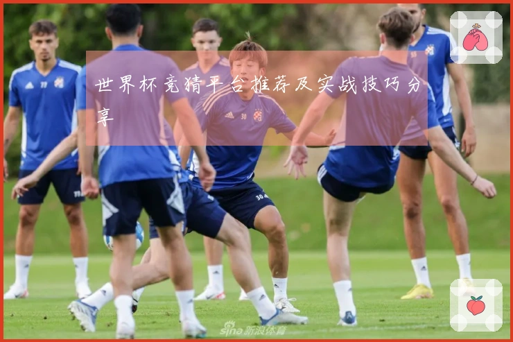 世界杯竞猜平台推荐及实战技巧分享