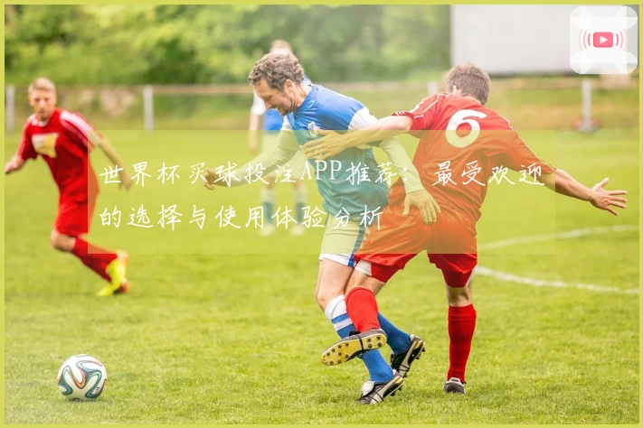 世界杯买球投注APP推荐：最受欢迎的选择与使用体验分析