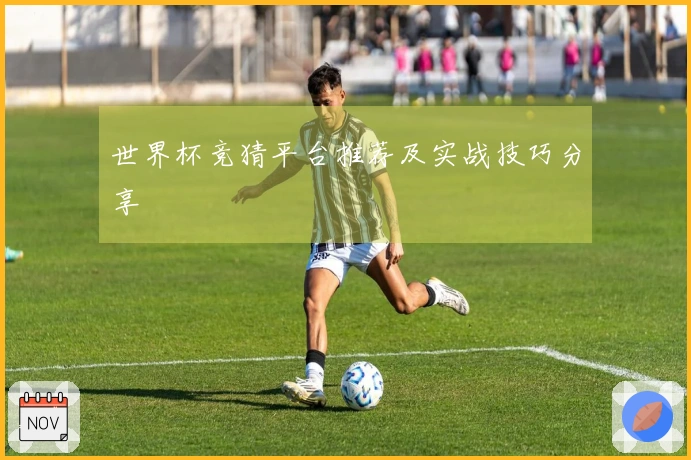 世界杯竞猜平台推荐及实战技巧分享