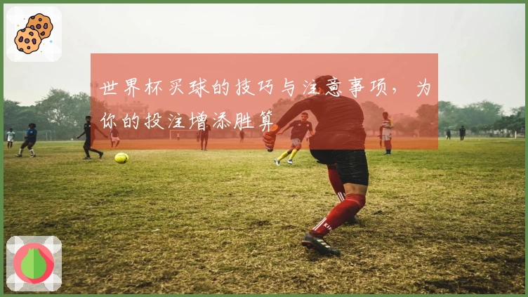世界杯买球的技巧与注意事项，为你的投注增添胜算
